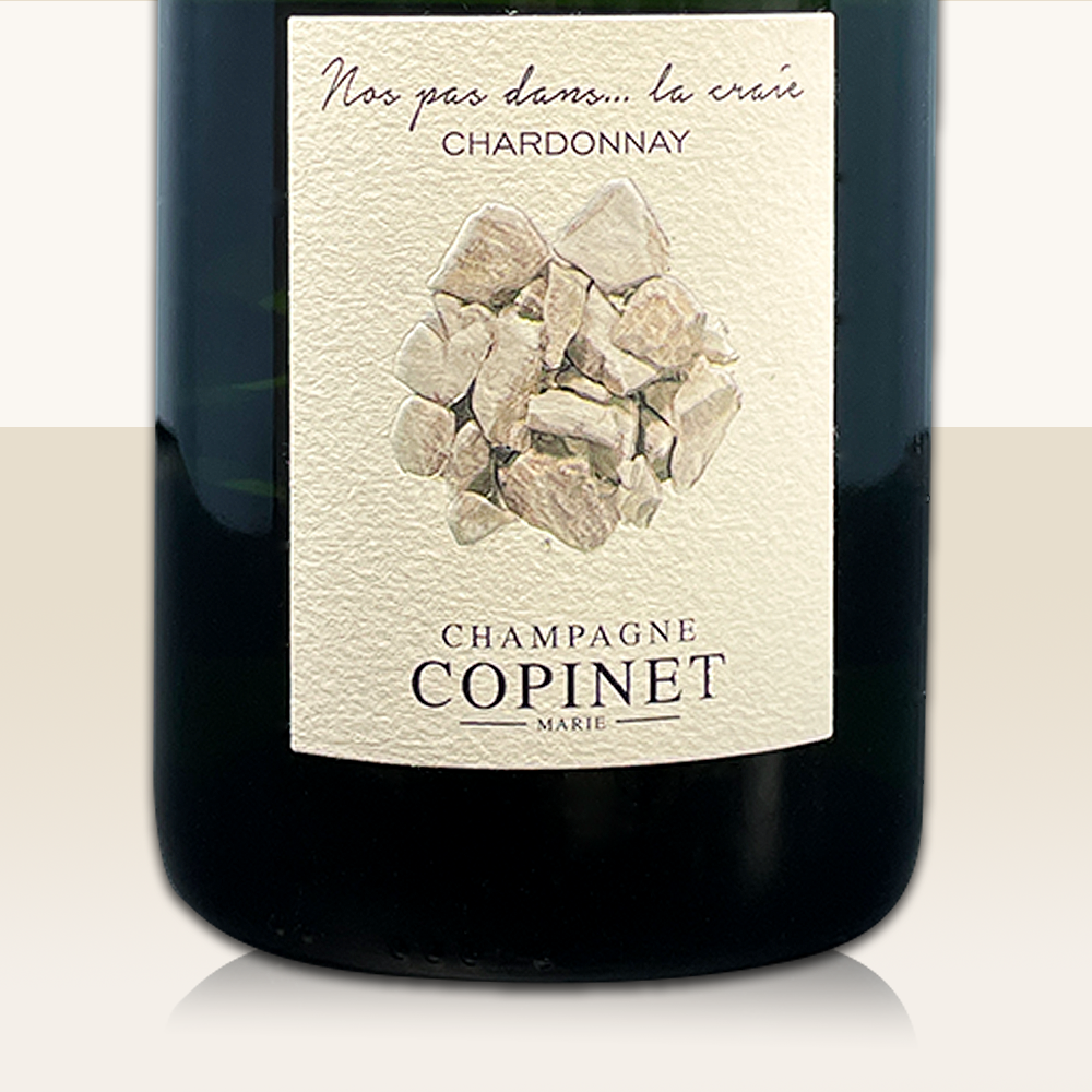 Marie Copinet Nos Pas Dans... La Craie