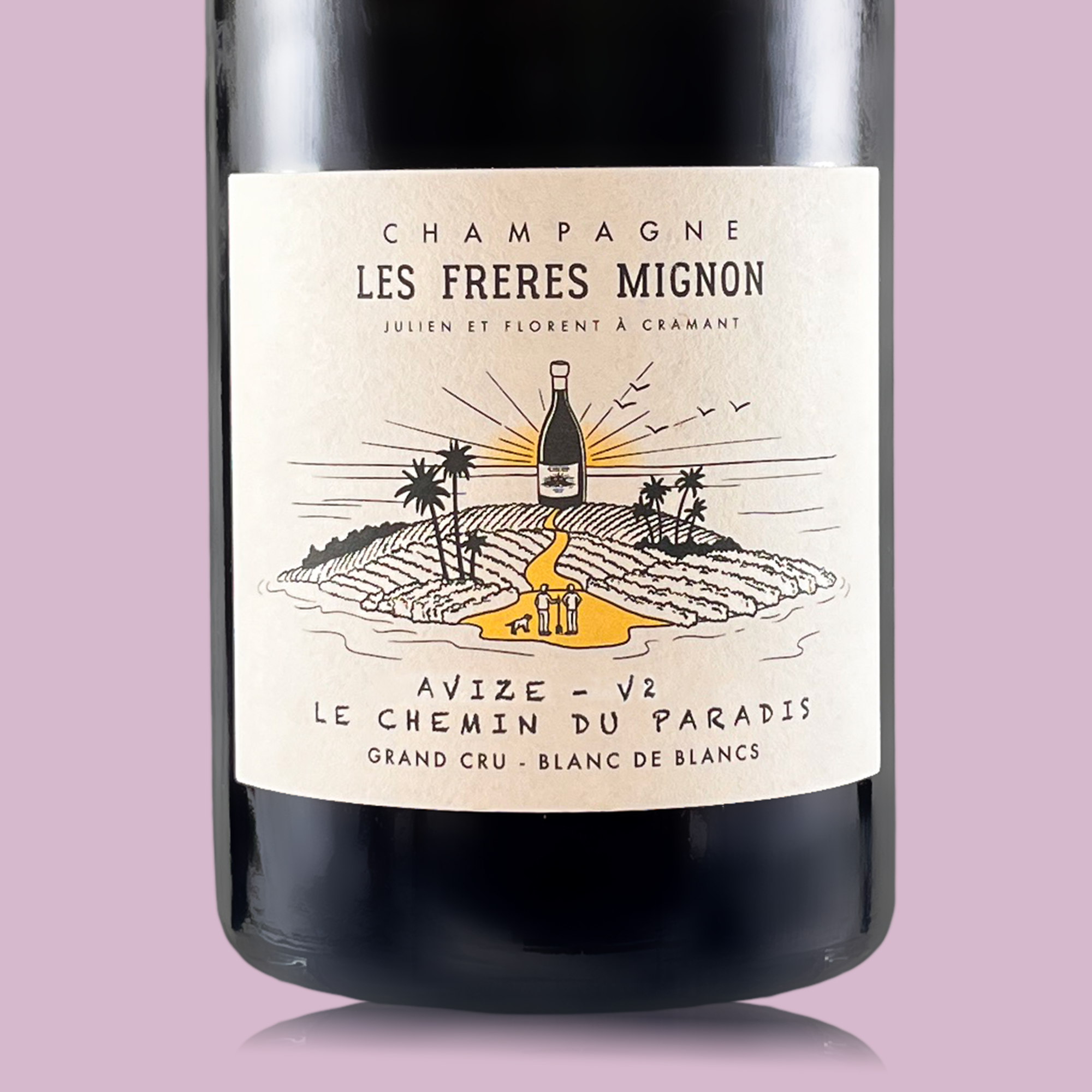 Les Freres Mignon Terroir d'Avize 2016