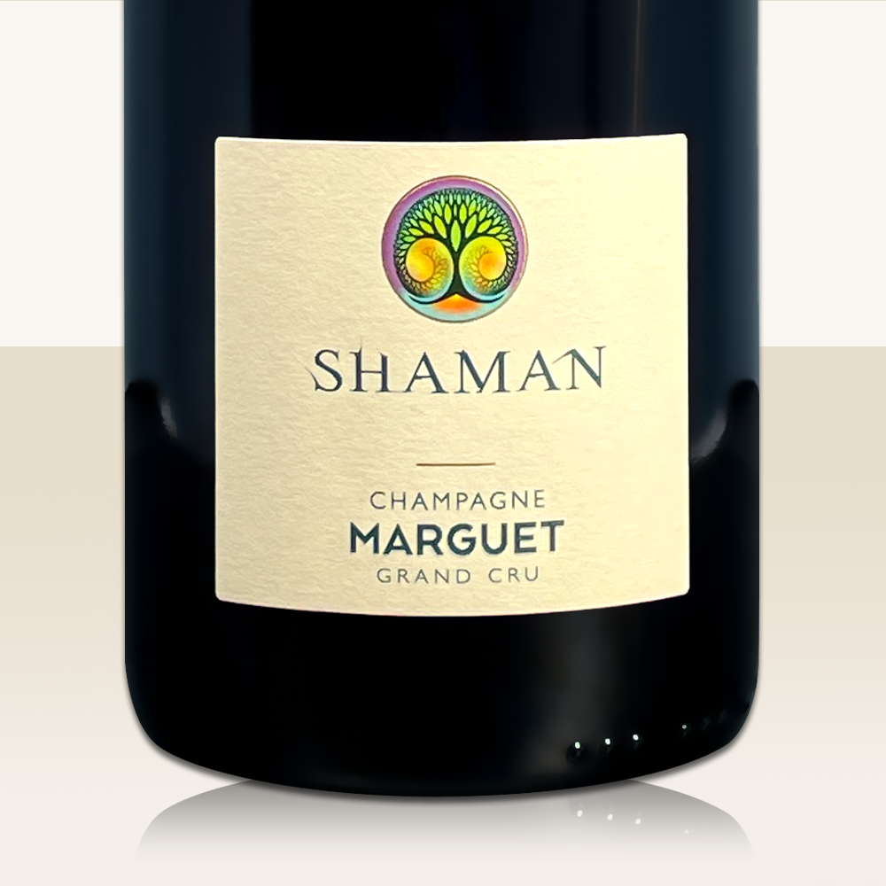 Benoit Marguet Shaman 21 - Bio