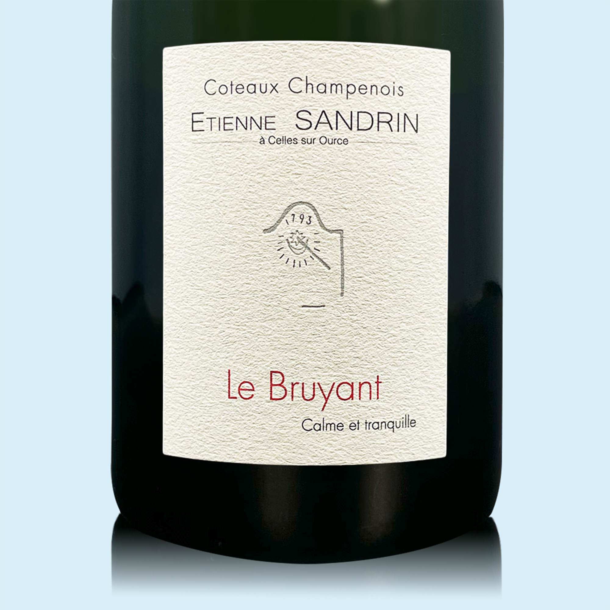 Etienne Sandrin (Still Wine) Coteaux Champenois Le Bruyant 2023