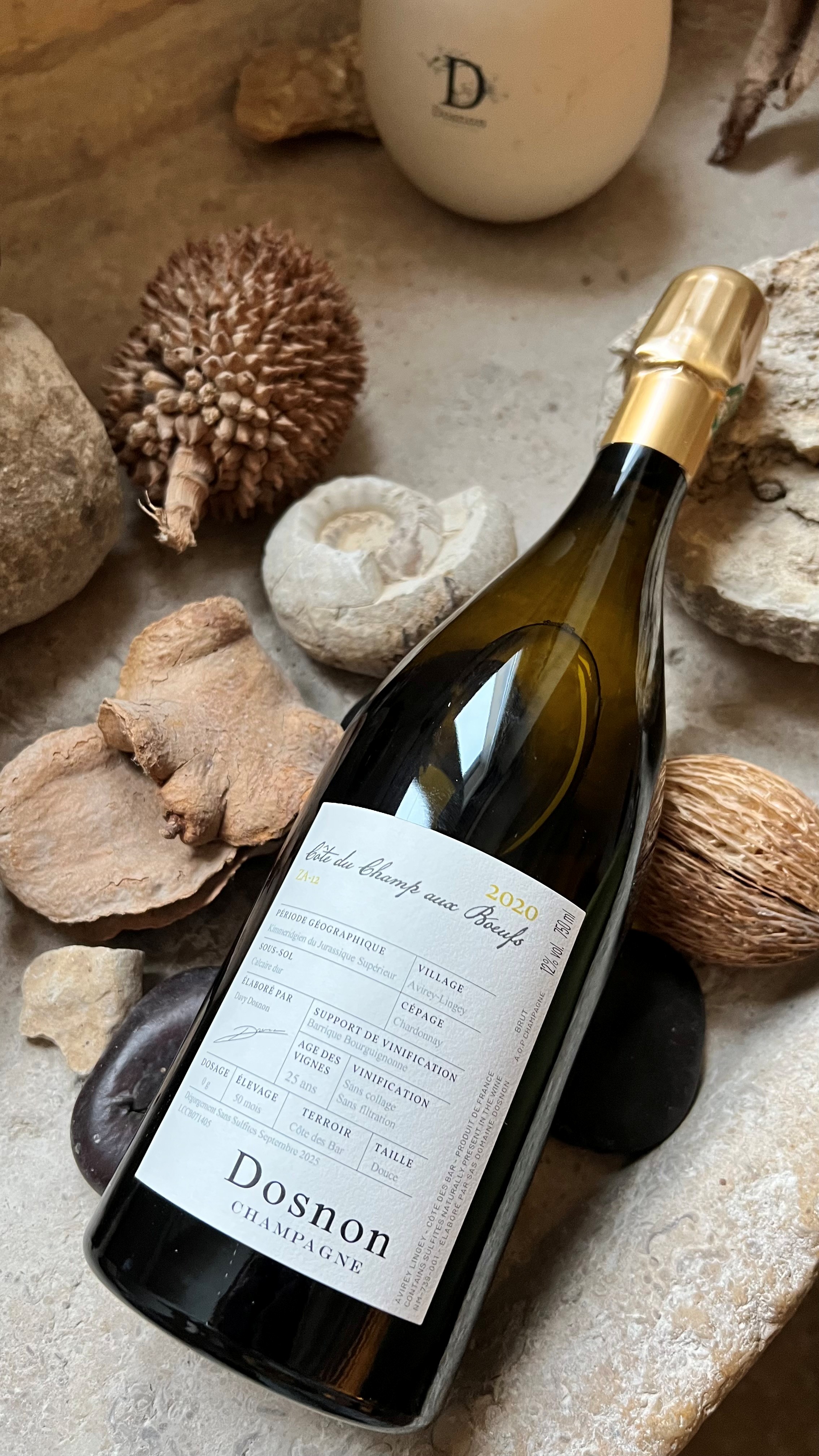 Dosnon Côte du Champ aux Boeufs 2020