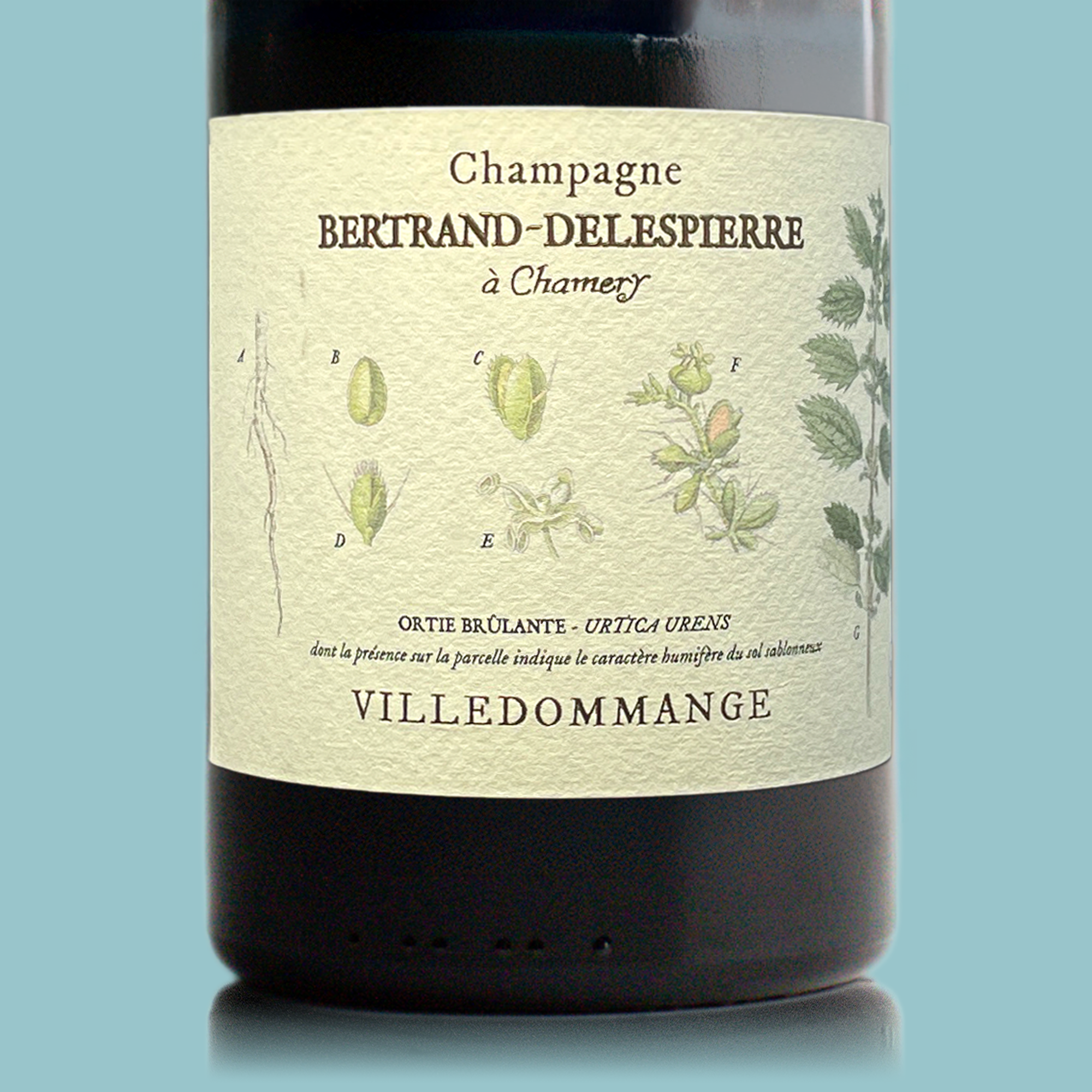 Bertrand-Delespierre Villedommange 2018