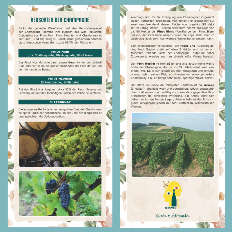 Information Card Grape varieties of Champagne