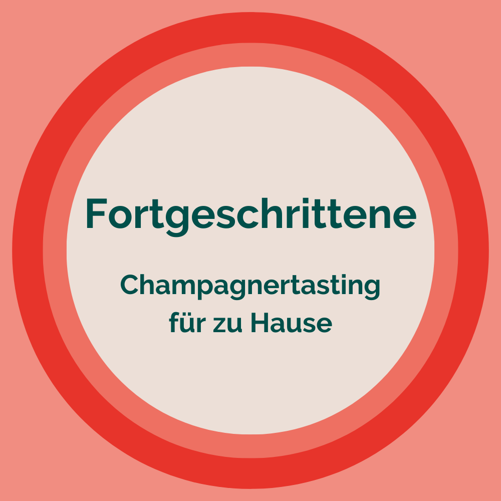 6er Probierpaket "Champagnertasting für zu Hause - Fortgeschrittene"