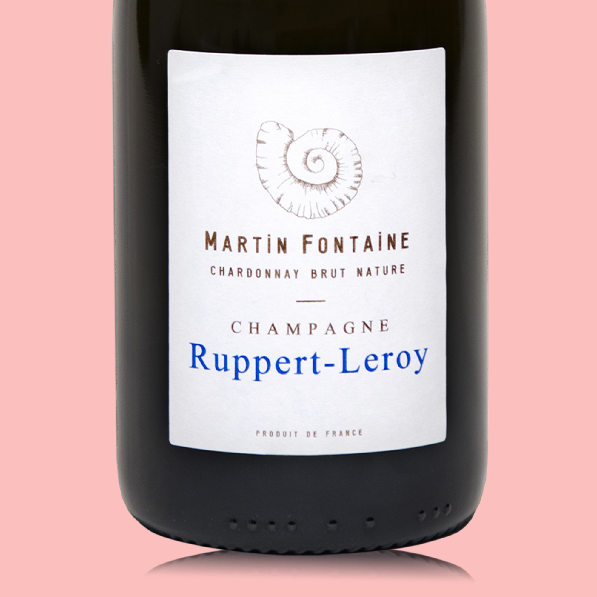 Ruppert-Leroy Cuvée Martin Fontaine V22 - Bio
