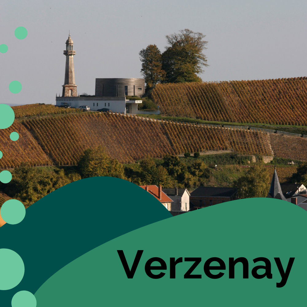 Taster Pack "Verzenay"