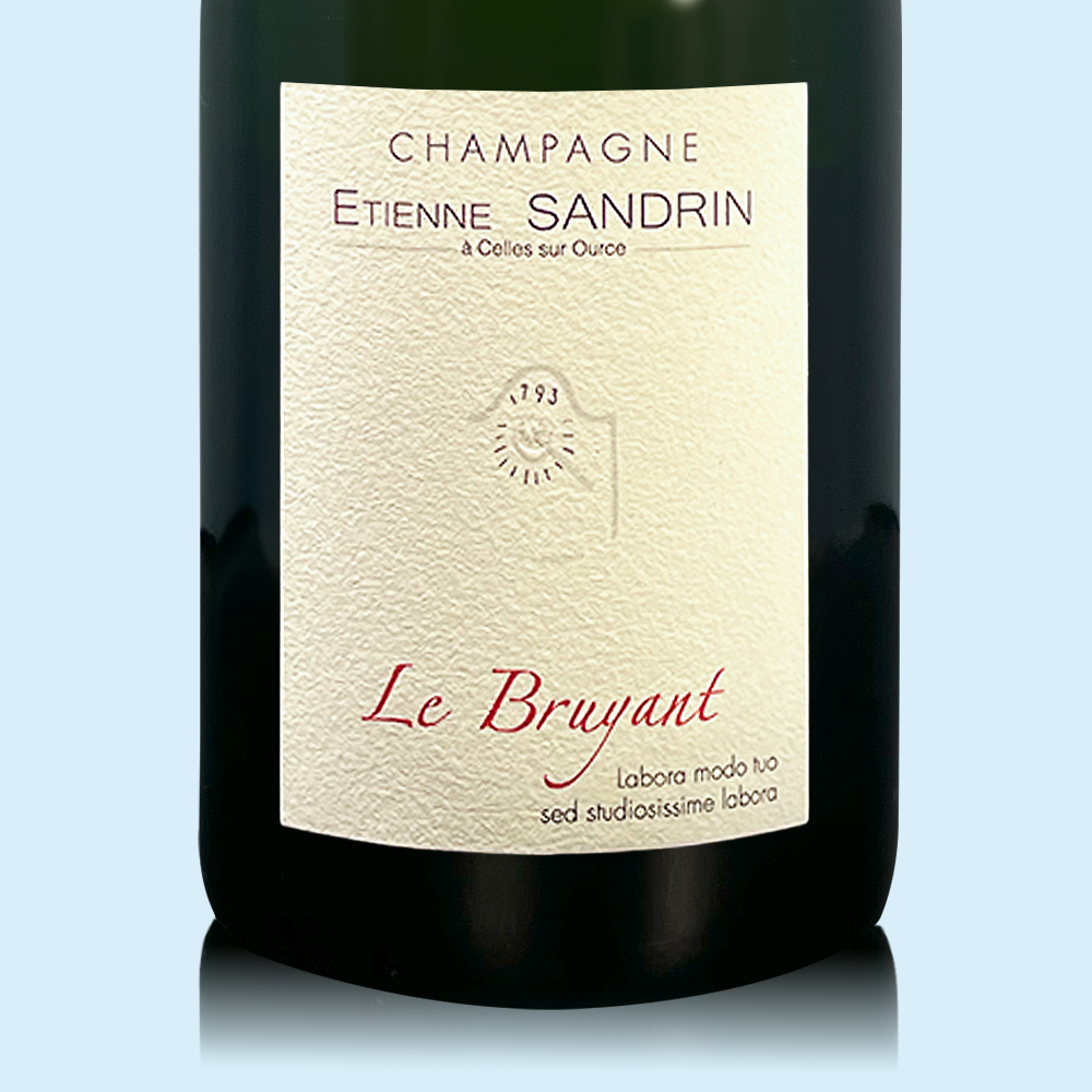 Etienne Sandrin Le Bruyant 2020 - Bio