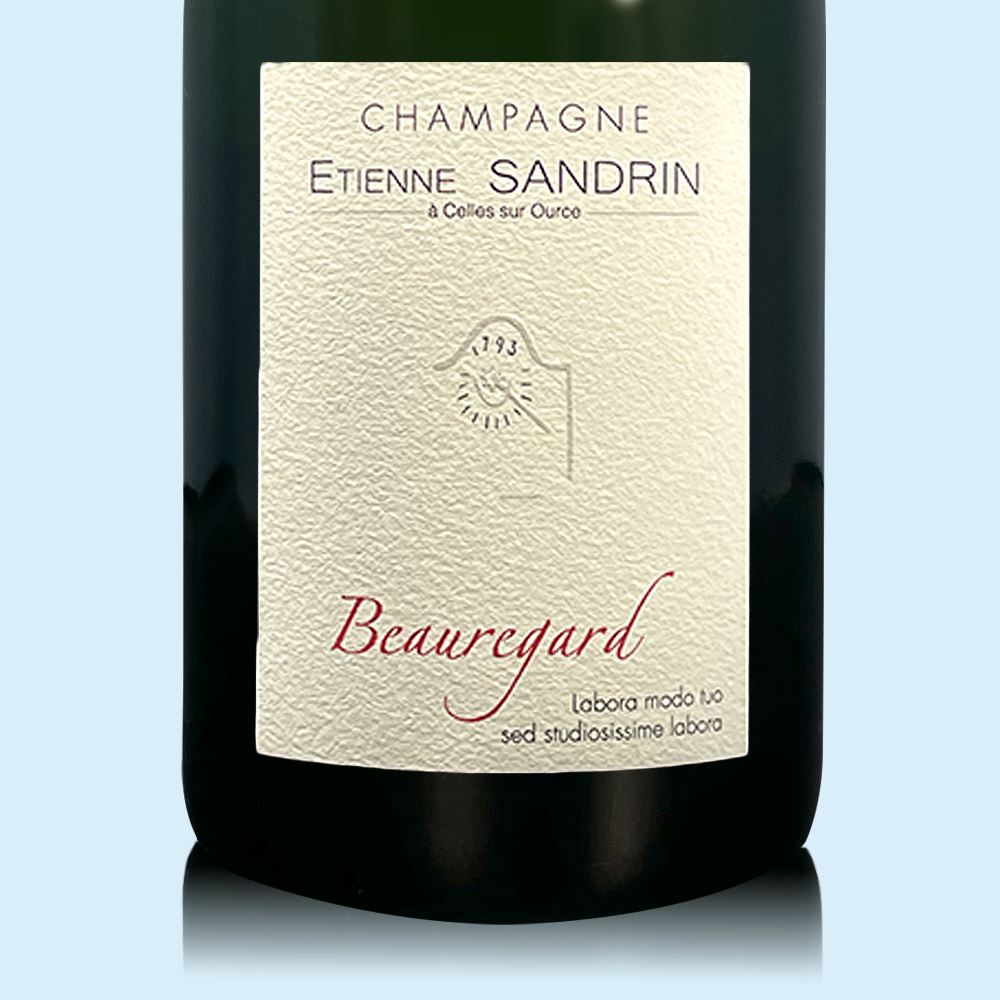 Etienne Sandrin Beauregard 2020 - Bio