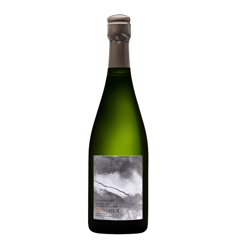 Pierre Brocard Dits-Lieux