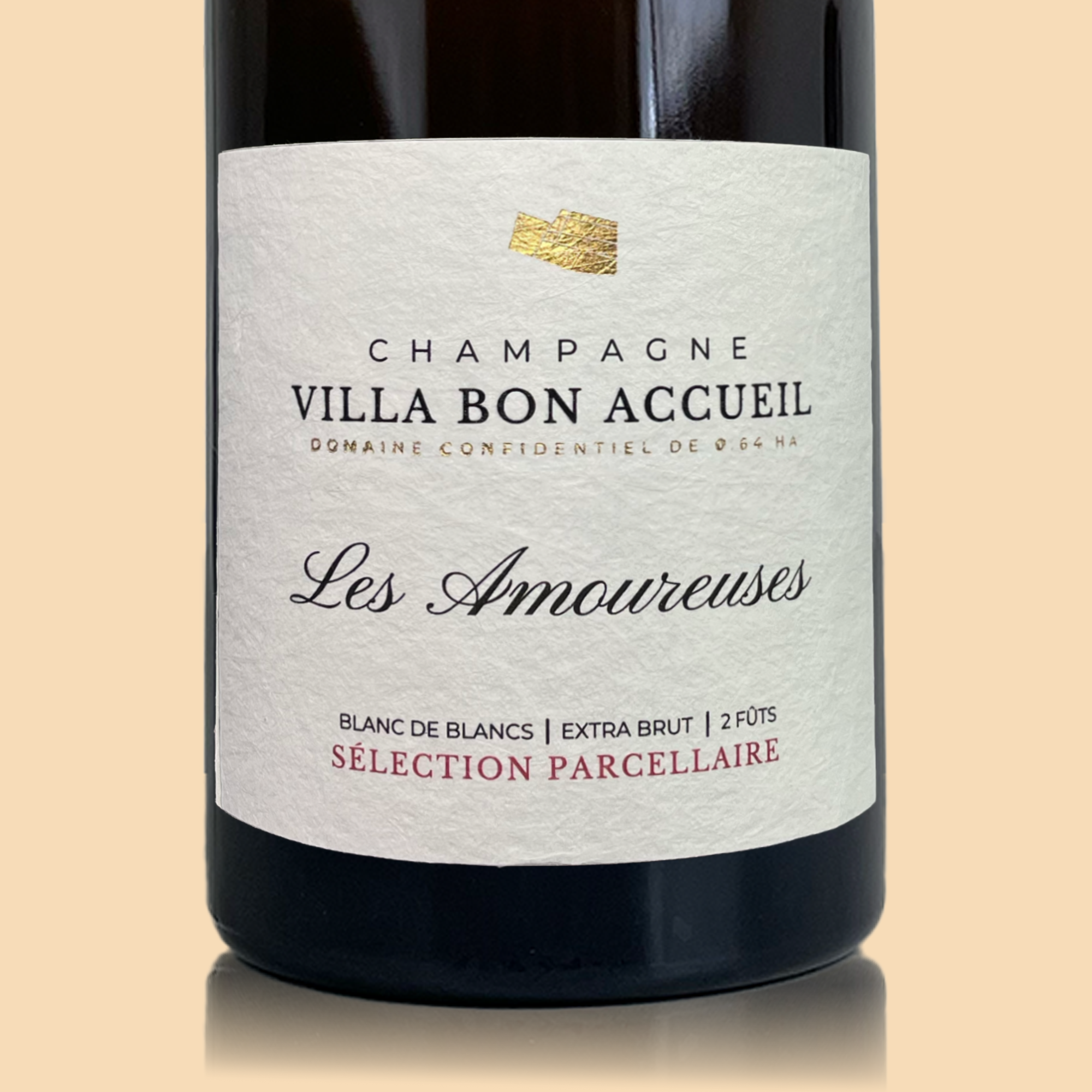 Domaine Villa Bon Accueil Les Amoureuses 2019