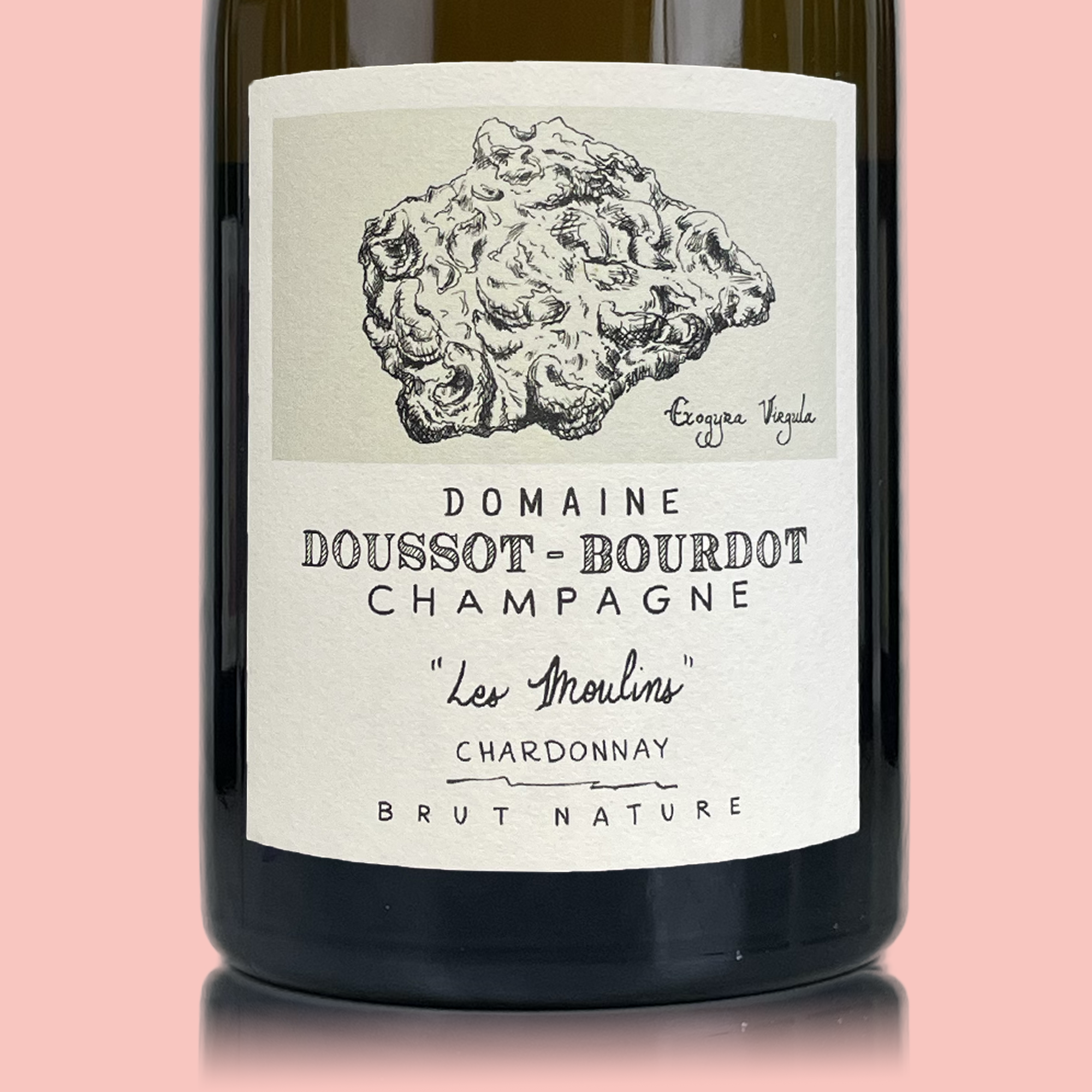 Doussot-Bourdot Les Moulins Blanc de Blancs 2021 Doussot-Bourdot Les Moulins Blanc de Blancs 2021