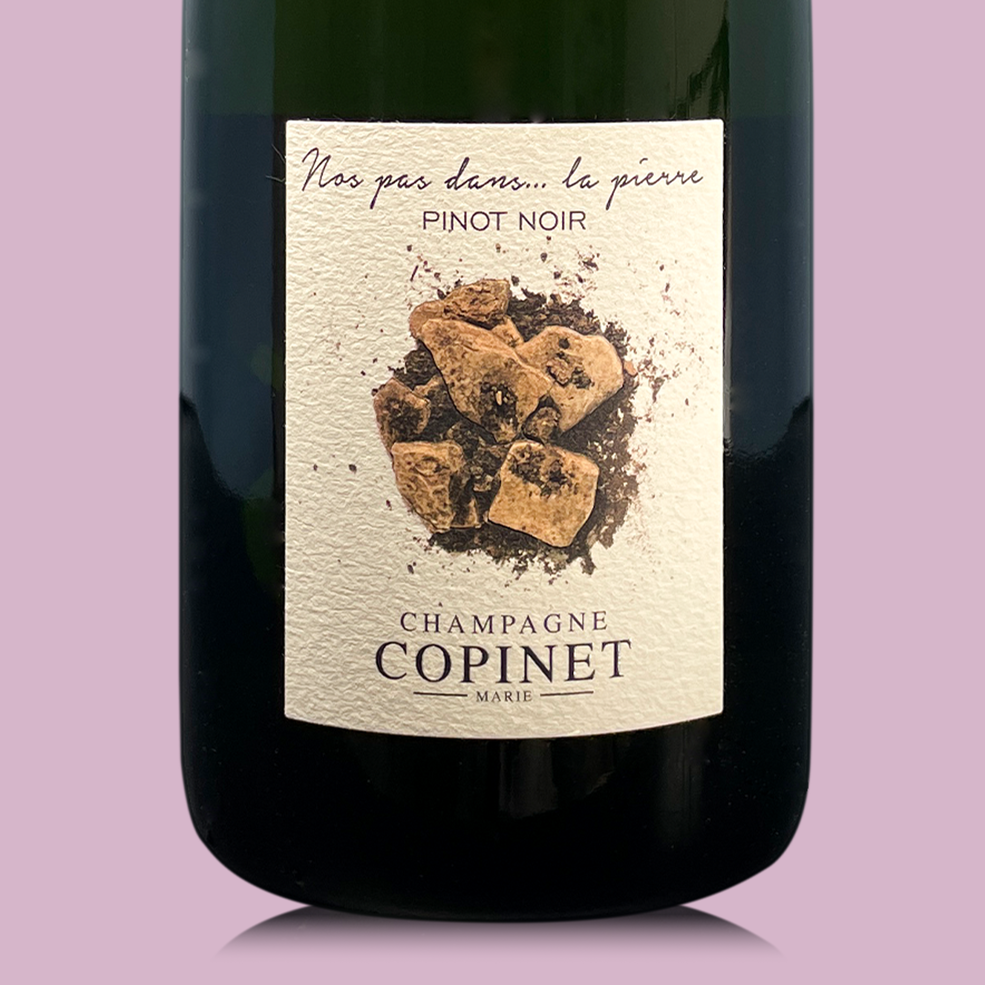 Marie Copinet Nos Pas Dans... La Pierre - Bio