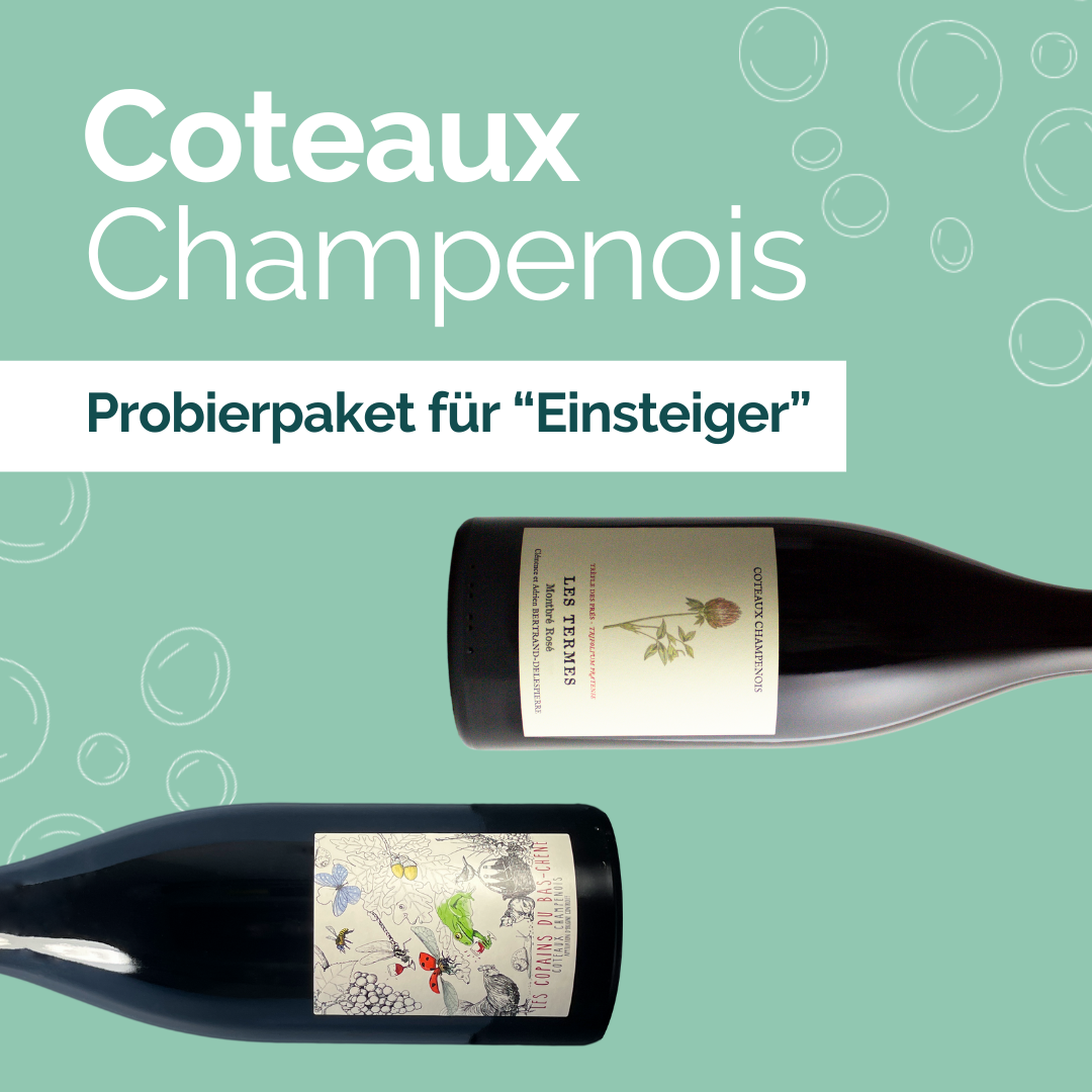 6er Probierpaket "Coteaux Champenois" - Einsteiger