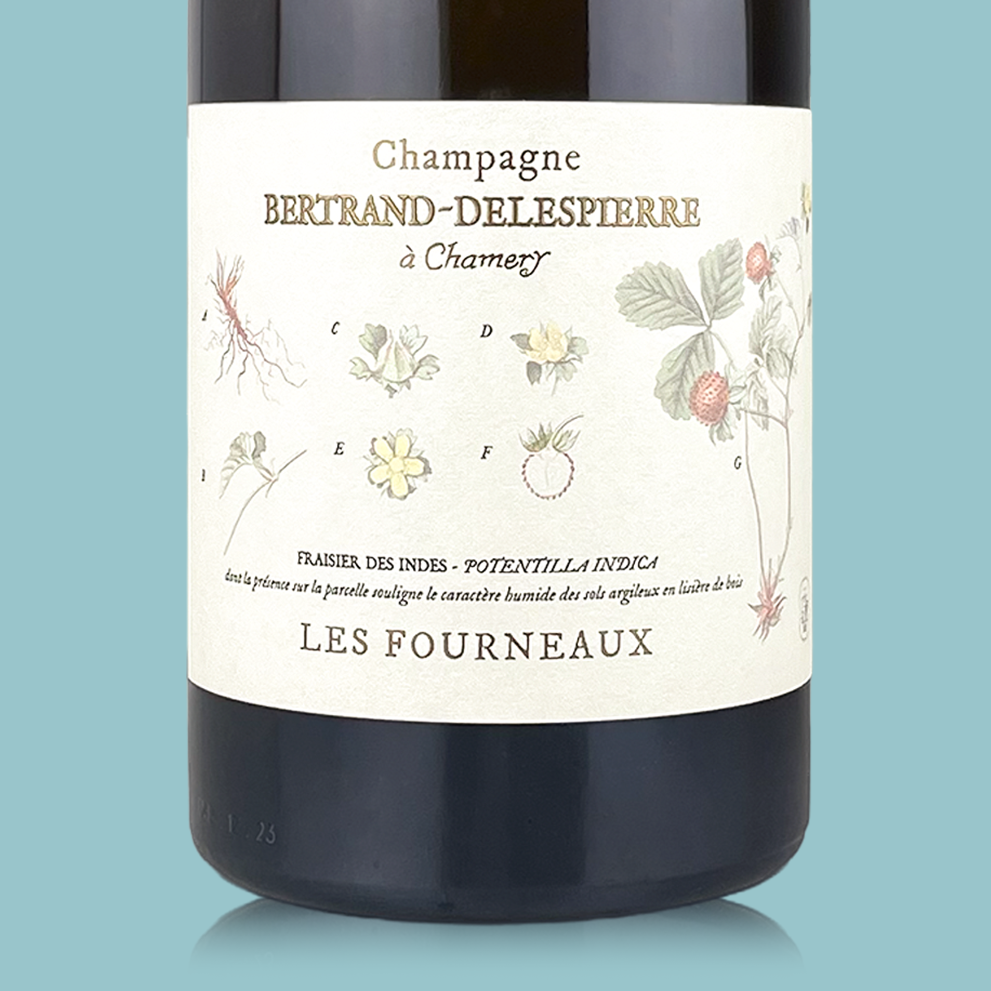 Bertrand-Delespierre Les Fourneaux 2017