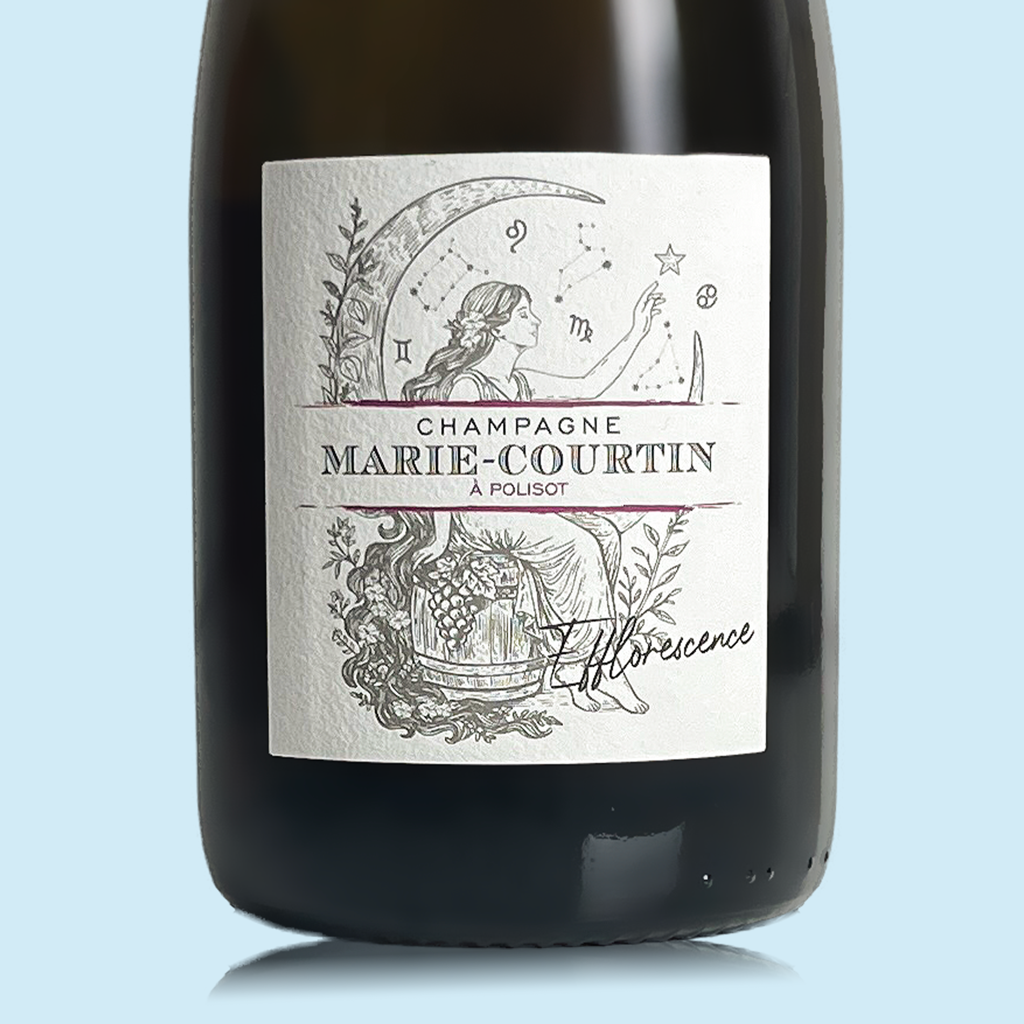 Marie Courtin Efflorescence 2019 - Bio
