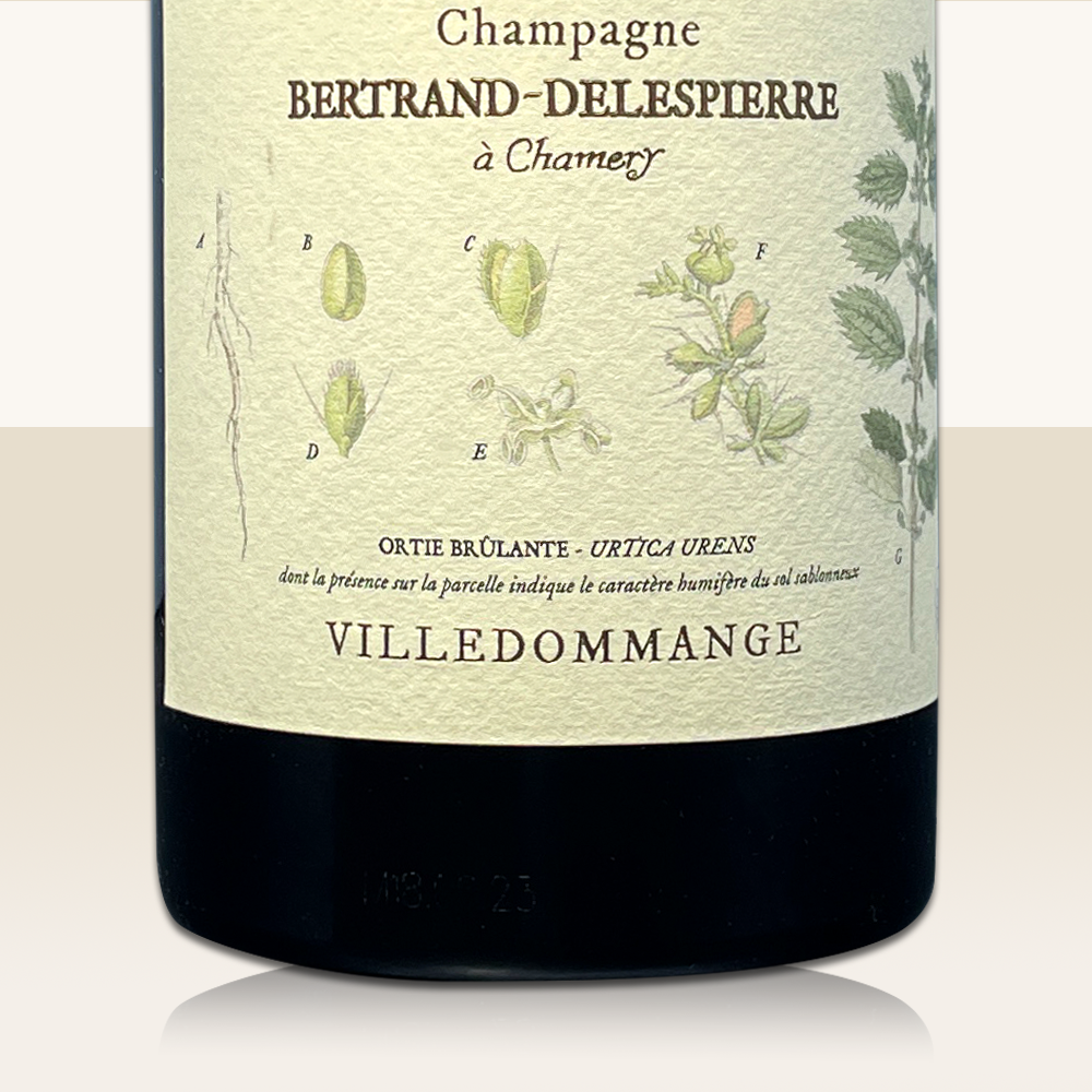 Bertrand-Delespierre Villedommange 2018