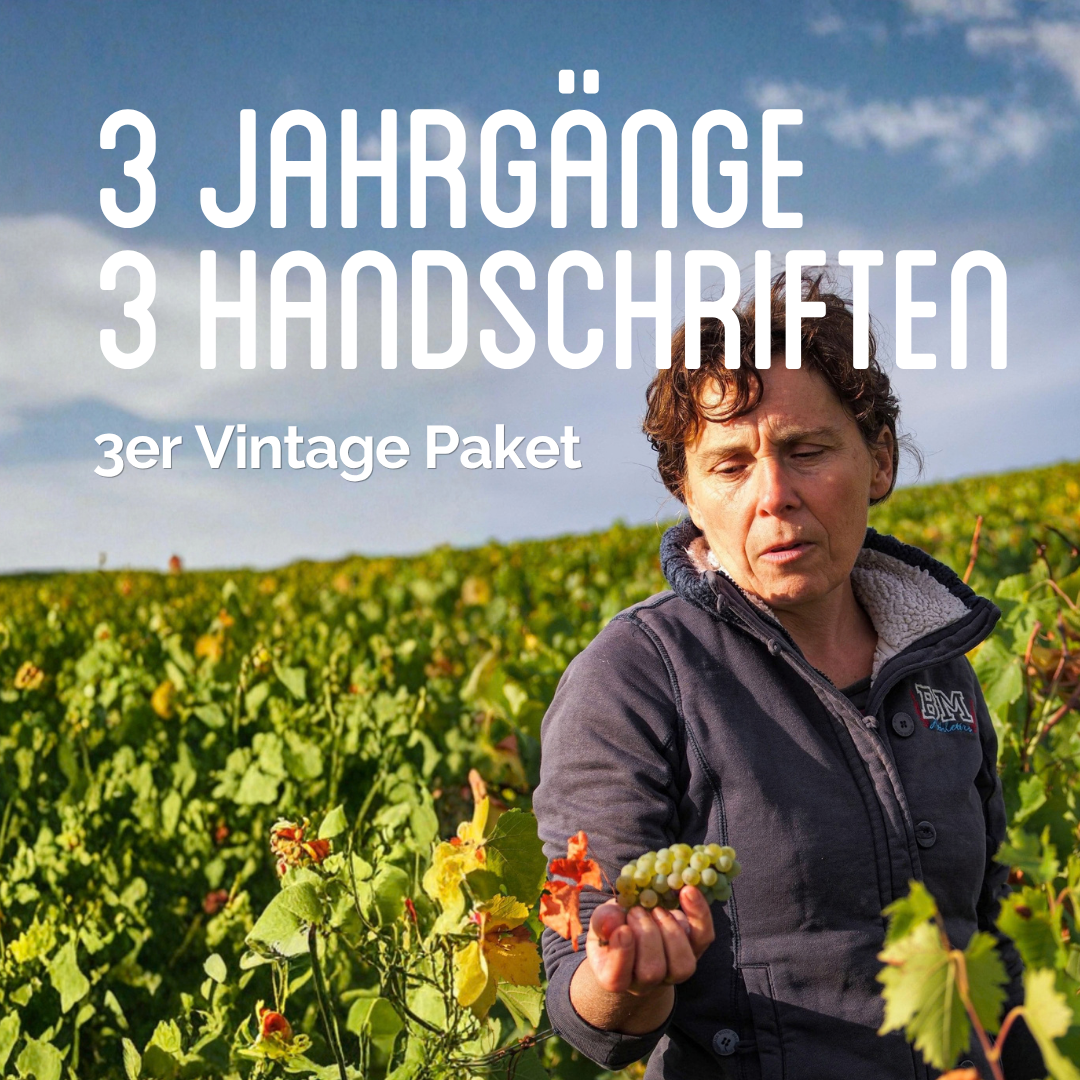 Drei Jahrgänge, drei Handschriften: Vintage Paket 