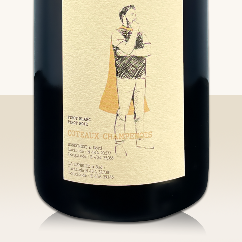 Pierre Brocard (Still Wine) Coteaux Champenois Blanc 2022