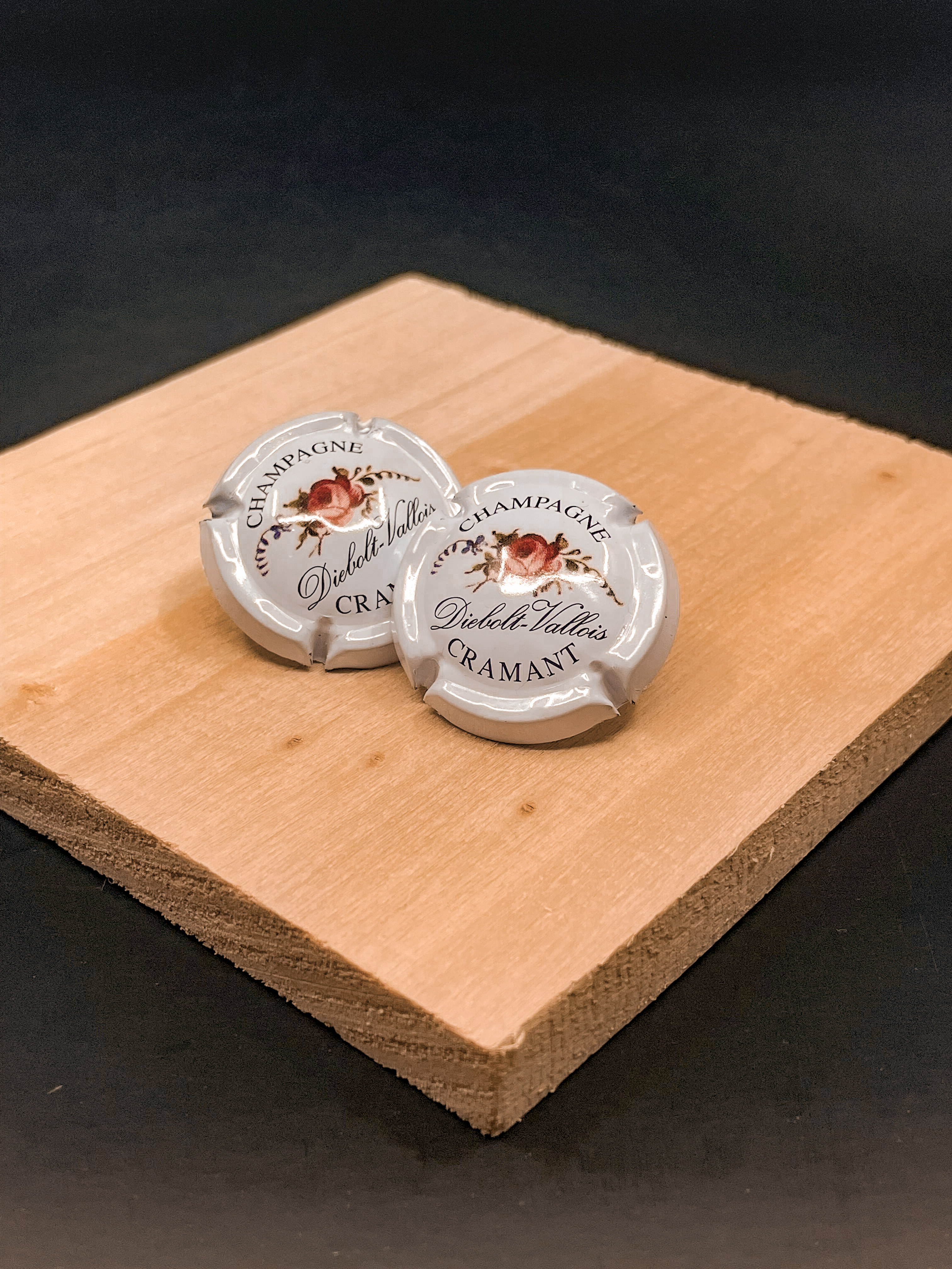 IMG_6730 Capsules ear studs - model Diebolt-Vallois