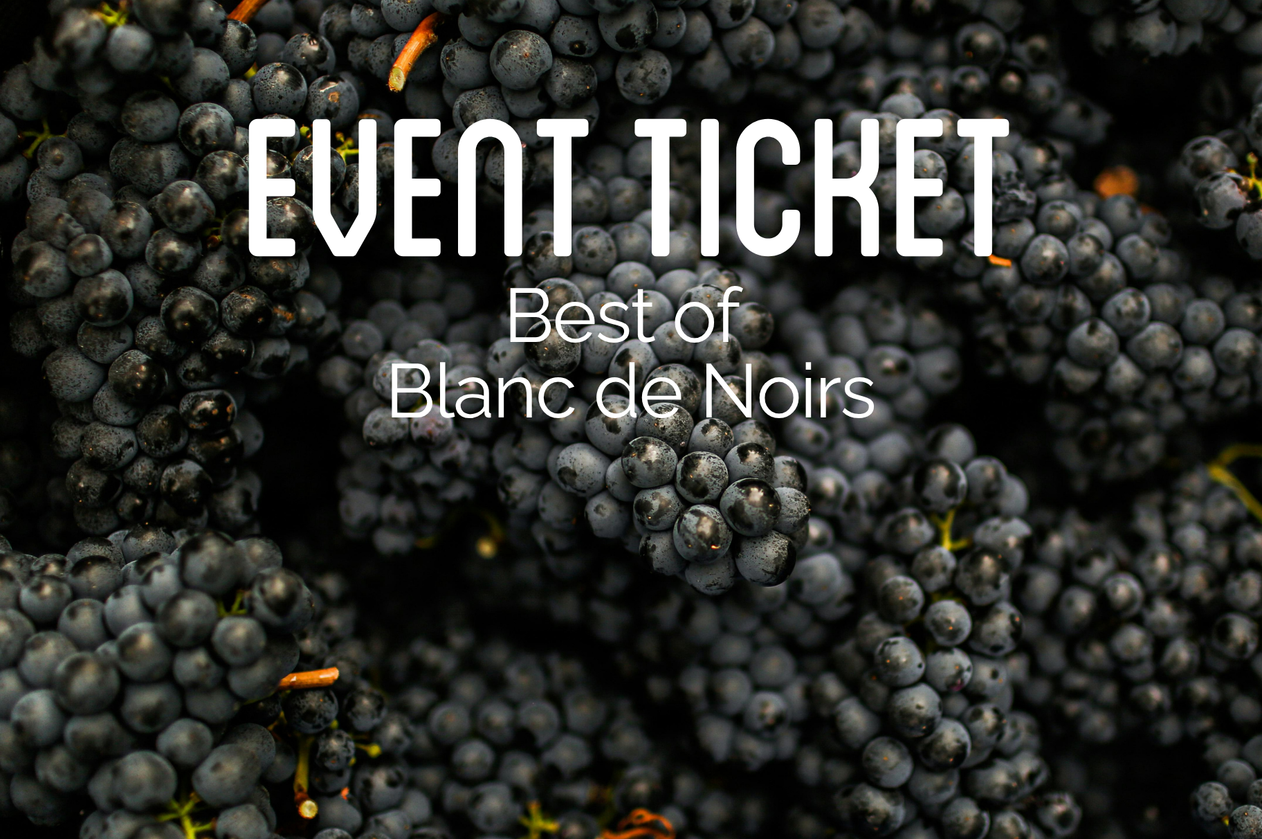Verkostung "Best of Blanc de Noirs" - Do 08.10.2026