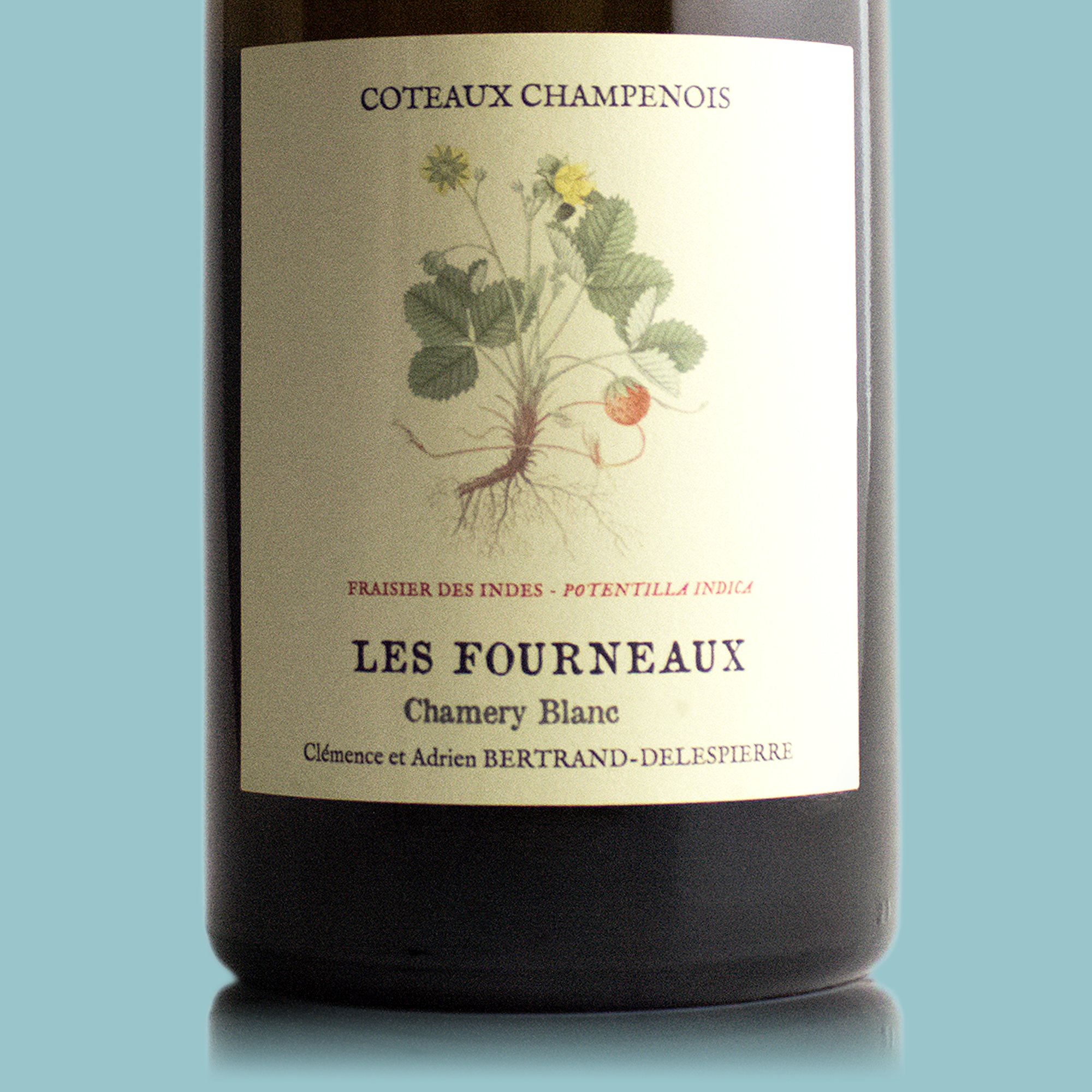 Bertrand-Delespierre Les Fourneaux (Still-wine) Coteaux Blanc 2019