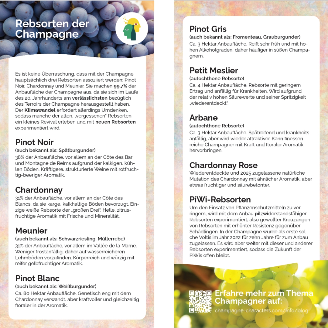 Information Card Grape varieties of Champagne