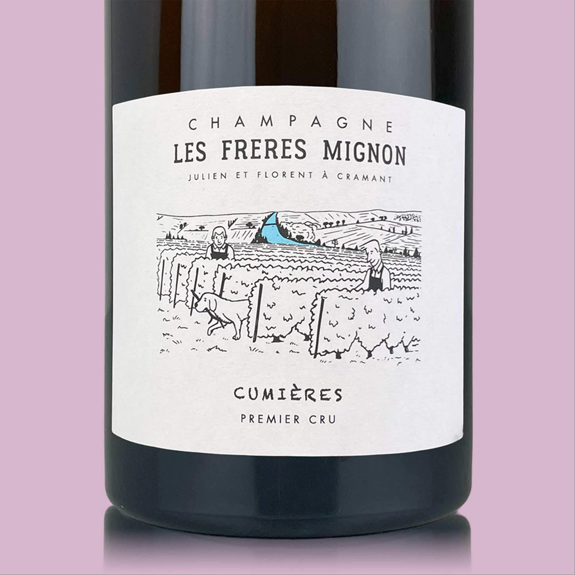 Les Freres Mignon Terroir de Cumières 2019