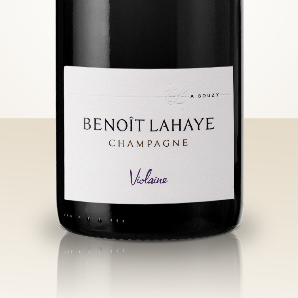 Benoît Lahaye Violaine 2016 - Bio