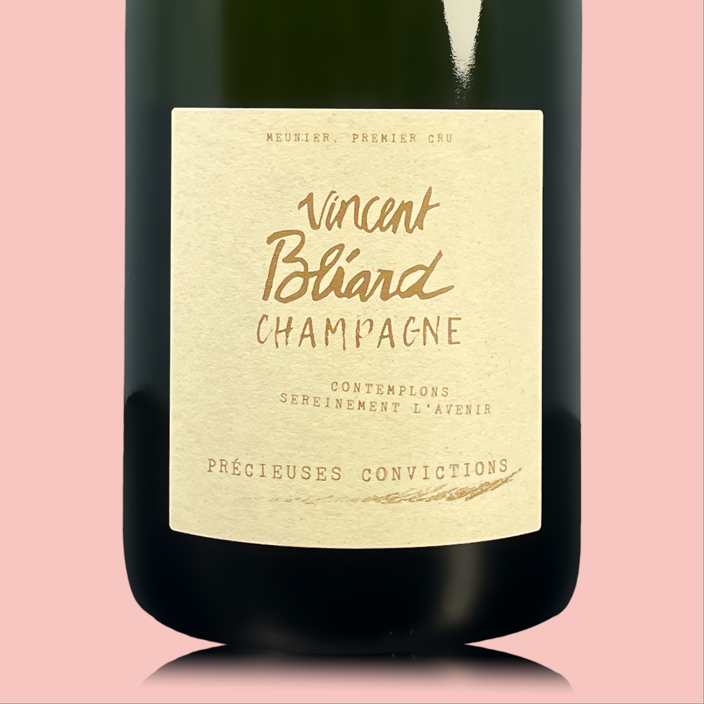 Vincent Bliard Precieuses Convictions - Bio